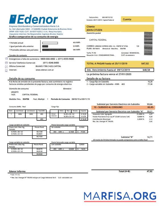 Blank Argentina Edenor easy to fill utility bill template in Word (.doc) and PDF (.pdf) format